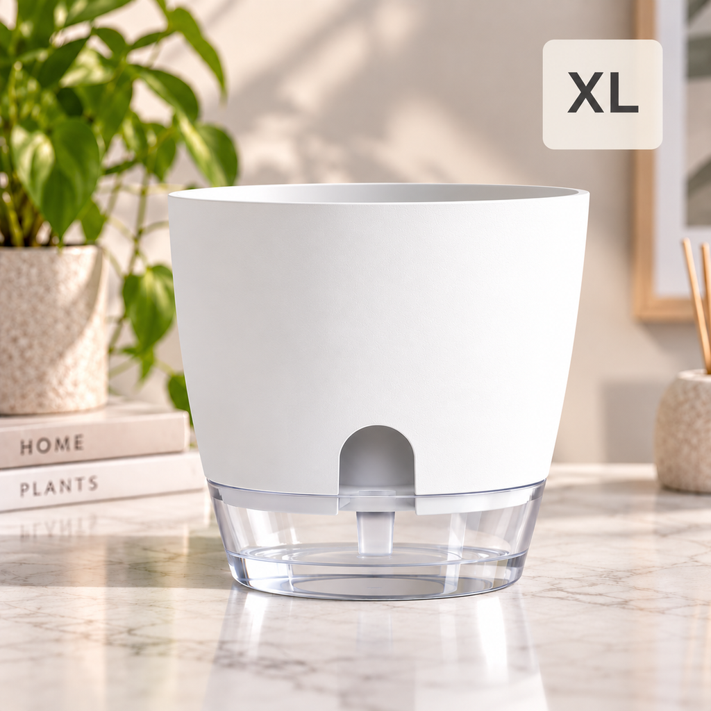 Pot Auto-Irrigant LIVORIA — Design Européen Premium