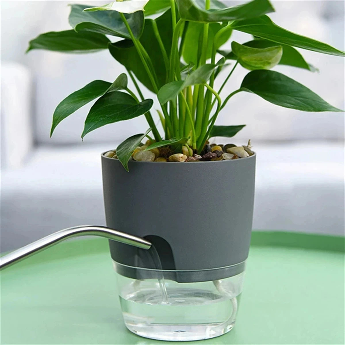 Pot Auto-Irrigant LIVORIA — Design Européen Premium