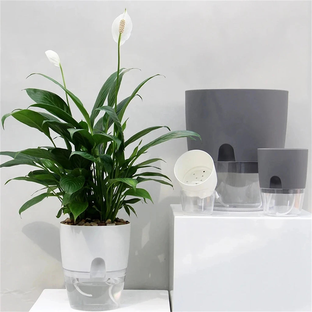 Pot Auto-Irrigant LIVORIA — Design Européen Premium