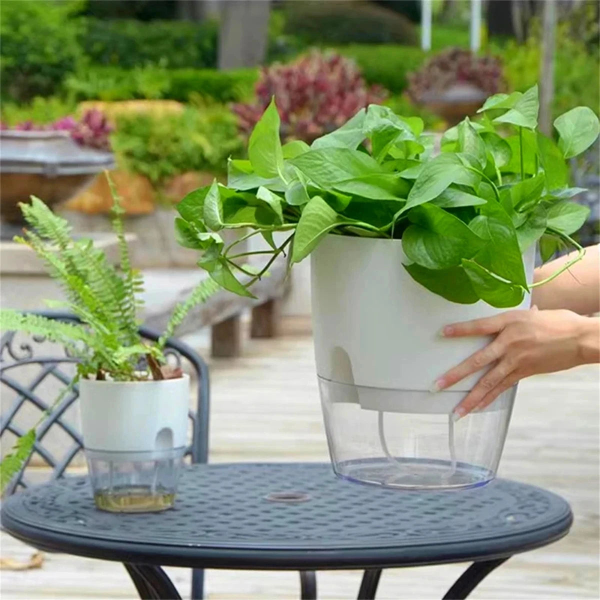 Pot Auto-Irrigant LIVORIA — Design Européen Premium